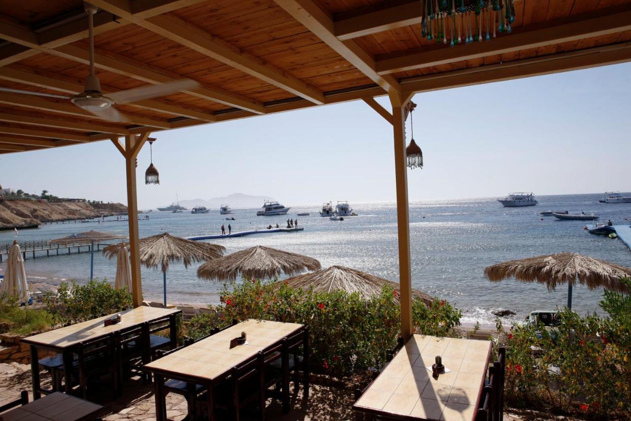 Umbi Sharks Bay Diving Village Şarm El-Şeyh Dış mekan fotoğraf